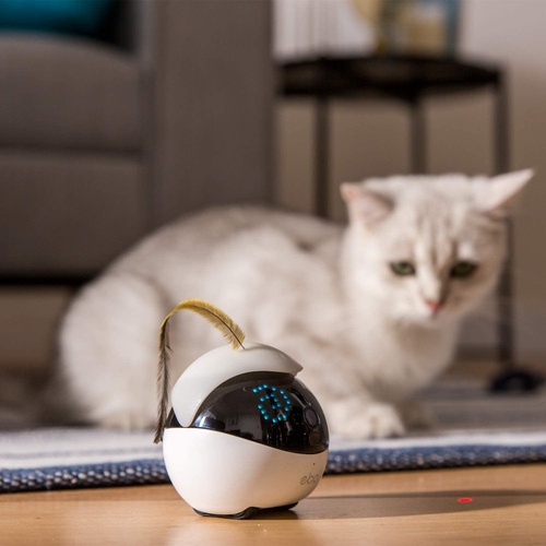 Enabot Ebo Catpal The Smart Robot Cat Toy Companion Standard  Set - White