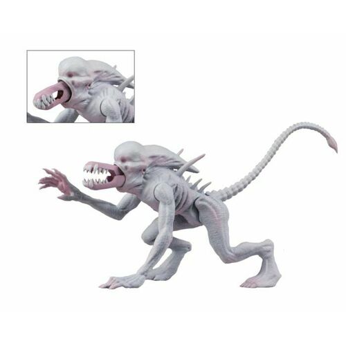 Alien & Predator - Alien Classic 5.5" Action Figure