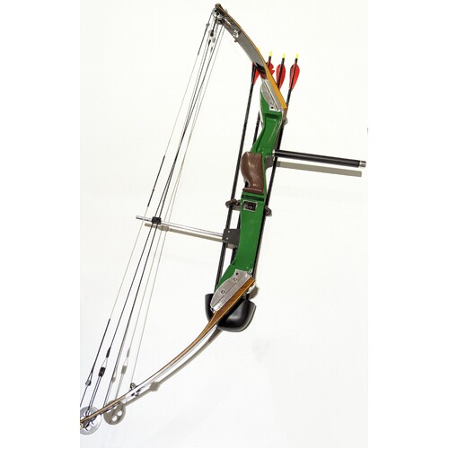 Custom Built Compound Bow with arrows