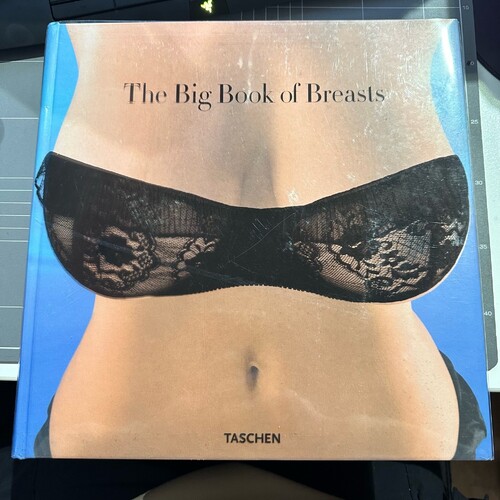 The Big Book of Breasts by Dian Hanson (2006, Hardcover Book)